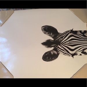 16”x20” Zebra Framed Art